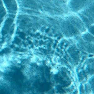 Meet your Posher, Cece